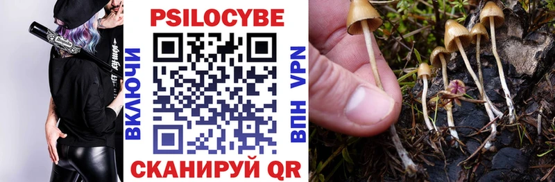 блэк спрут ССЫЛКА  Красногорск  Галлюциногенные грибы Psilocybe 